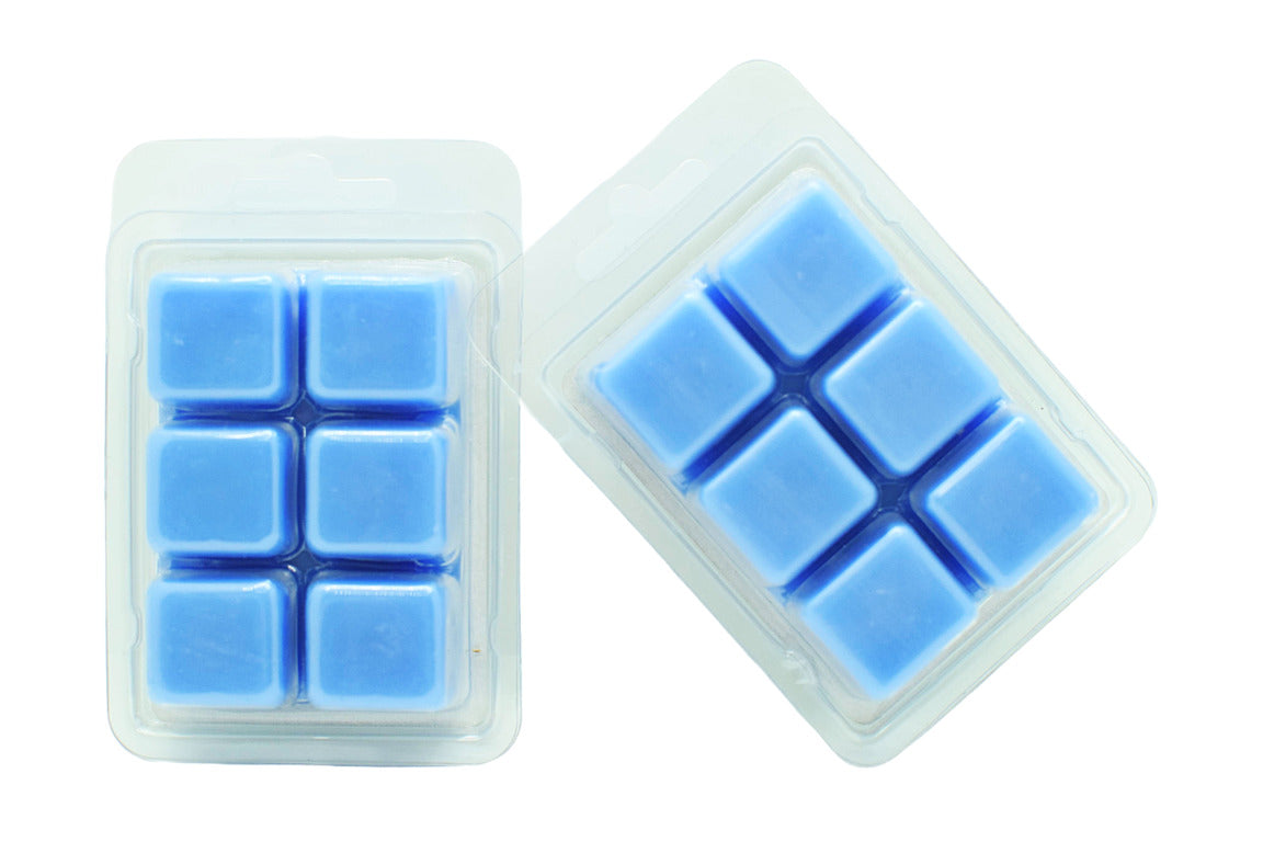 Sea Salt & Sage - Wax melts set by Veda & Co
