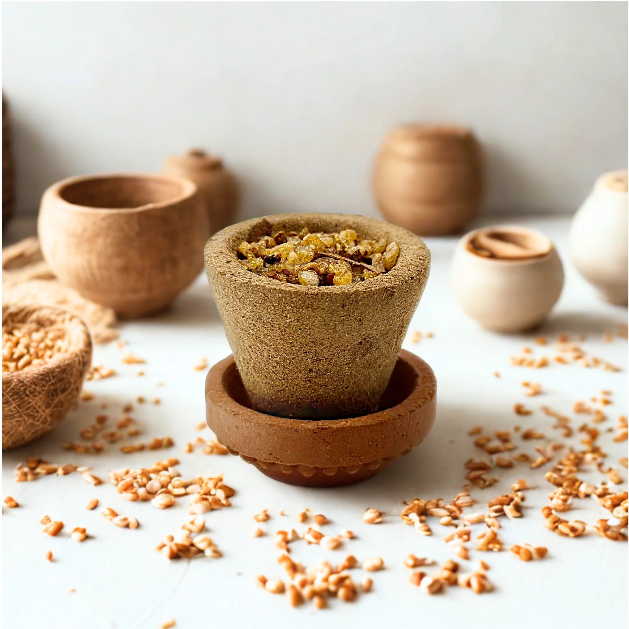 Sacred Panchagavya Sambrani Cups from PremaNature