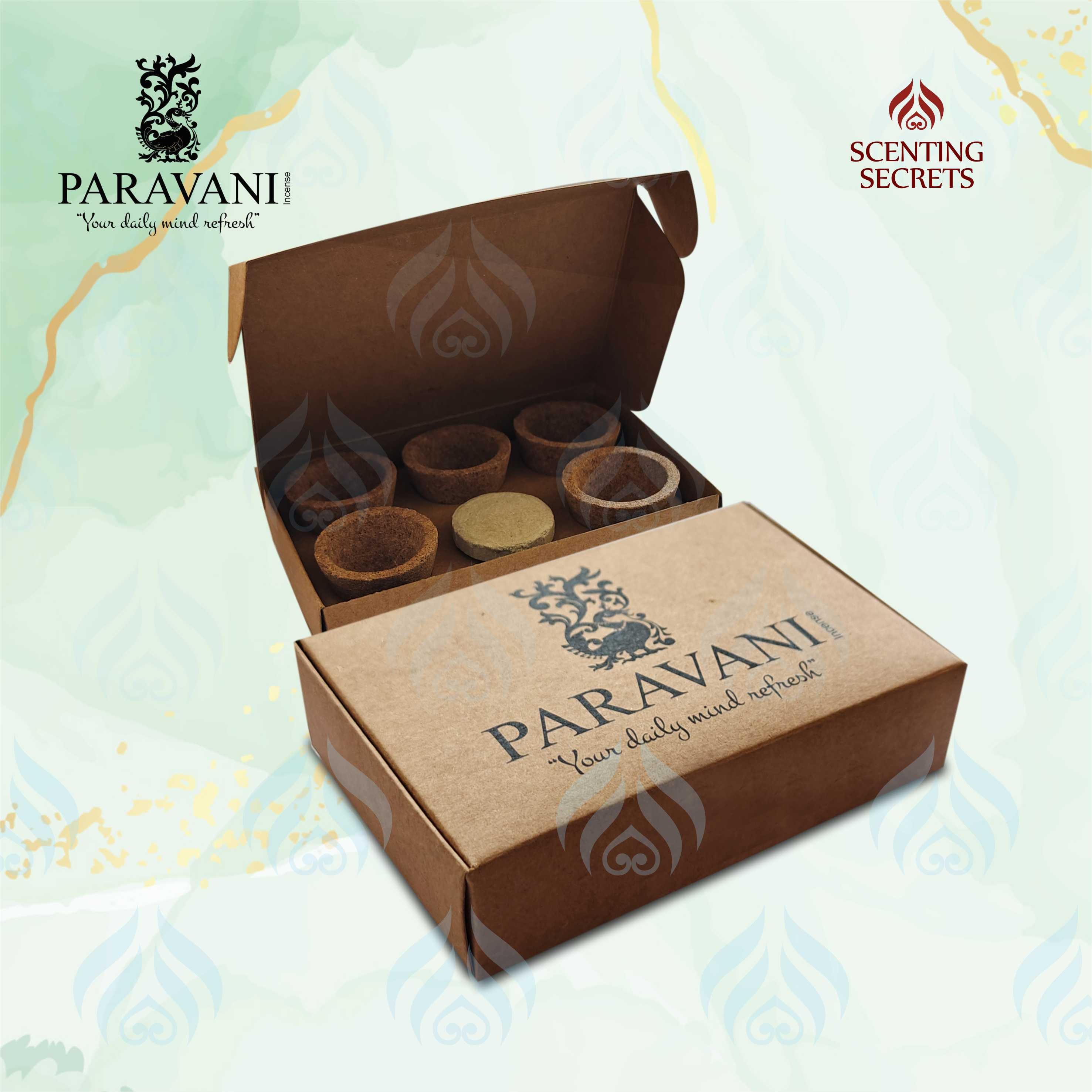 Amber Oud | Premium Cup Sambrani | Paravani Incense