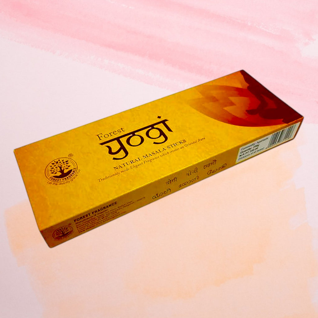 Forest Yogi Natural Masala Sticks by Forest Fragrance